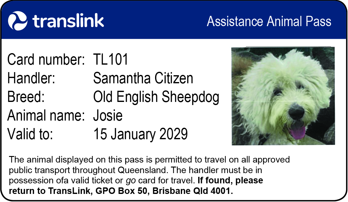 Translink Assistance Animal Pass dog (front)