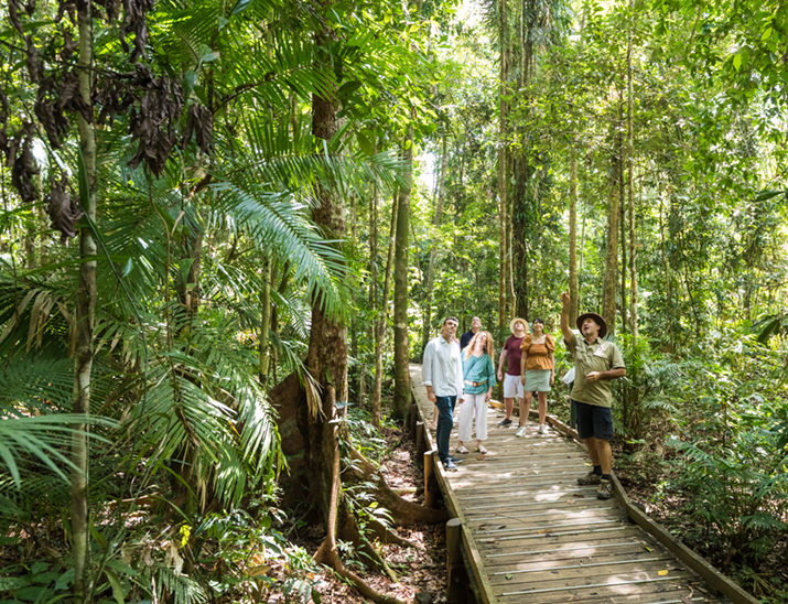 A tour guide showing a group along a board walk in the Daintree National Park